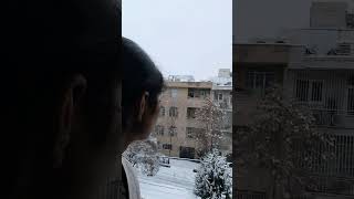 یک صبح برفی🌨️❄️