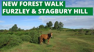 NEW FOREST WALK at FURZLEY & STAGBURY HILL (NEW FOREST NATIONAL PARK)