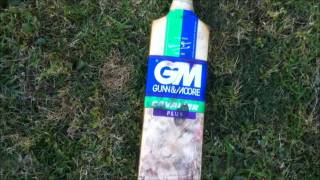 Gunn\u0026Moore Cricket Bat.wmv