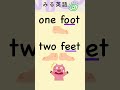 leg 脚 ・foot 足