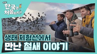 자연다큐 출연 중? 장관을 이루는 철새들의 물결~! 🕊 생태 체험선에서 야생과 완벽 동화! l #어서와한국은처음이지 l #MBCevery1 l EP.385