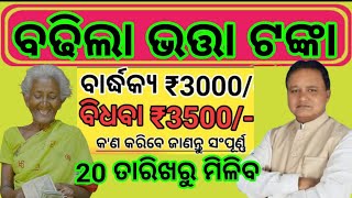 ବଢିଲା ବାର୍ଦ୍ଧକ୍ୟ ଭତ୍ତା/Madhu Babu Pension Yojana Apply Online 2024/apply online Madhu Babu Pension