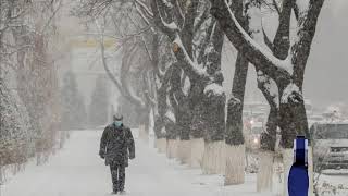 TEZKOR HABAR 😱 ÓZBEKISTONDA🇺🇿 SOVUQ VA YOGIMGARCHILIK QATTIQ