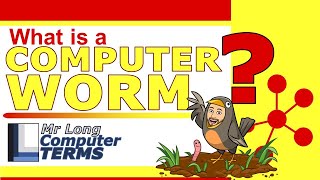 Mr Long Computer Terms | What is a Computer Worm?