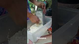 Grating cassava #asmr #grating #cassava #shorts