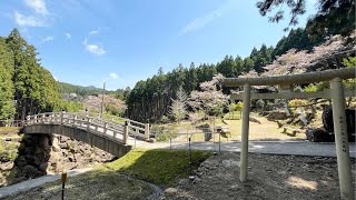 【100】大馬神社 | Oma-Jinja Shrine