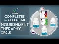 Vestige completes its Cellular Nourishment Therapy circle | Vestige Marketing Pvt Ltd