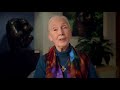 dr.jane goodall története röviden