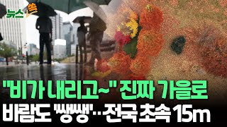 [뉴스쏙] 국군의 날, 전국 대부분 가을비…최대 5~10㎜ 예보｜비 그치면 '기온 뚝'…중부 낮 20도 안팎 / 연합뉴스TV (YonhapnewsTV)