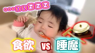 【生後8ヵ月】離乳食中に寝落ちする赤ちゃんが可愛すぎる！【赤ちゃん】