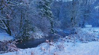 4K Winter Fluss Wasser Klänge  Schnee Schlafen Entspannen Lesen Wald Natur Würm München Germany 3 St