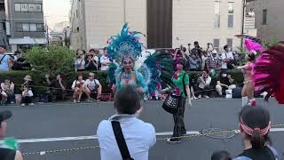 花小金井サンバフェスティバル2023 ICUラムズ#samba #サンバ #icuラムズ