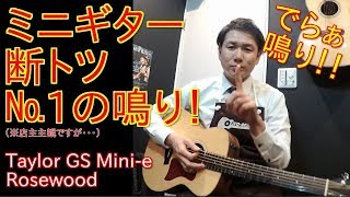 ナンバーワン！？ミニギターとは思えない凄鳴り！【Taylor GS Mini-e Rosewood】オットリーヤちゃんねる