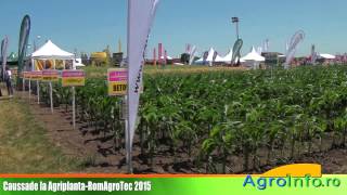 CAUSSADE la Agriplanta-RomAgroTec 2015