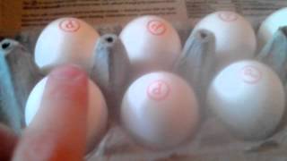 Safe pasteurized eggs