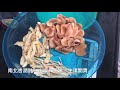 《沙參玉竹馬蹄 清熱明目潤肺湯》 清甜美味 潤肺止咳 養陰生津 明目護肝 滋潤肌膚 清熱解毒 開胃消食 免費訂閱 素湯 good for lung