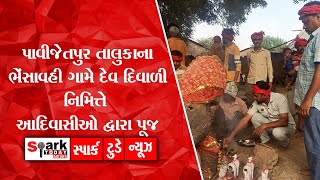 પાવીજેતપુર તાલુકાના ભેંસાવહી ગામે દેવ દિવાળી નિમિત્તે આદિવાસીઓ દ્વારા પૂજ 2022 | Spark Today News