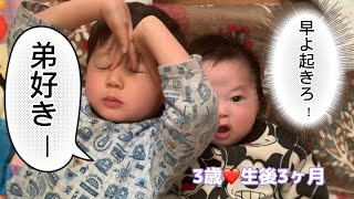 まだ言葉が話せない3歳お兄ちゃんの弟への愛情表現が優しい