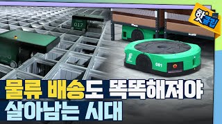 [핫클립] 물류센터의 작업속도 문제를 해결한 인공지능 / YTN 사이언스