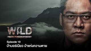 Spot รายการ Wild Survival ตอน ป่าบอร์เนียว ป่าแห่งความตาย | รับชมได้แล้ววันนี้ ทาง www.VIPA.me