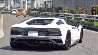 【大黒PA】スーパーカー加速サウンド／Supercars sound in Japan. AventadorS, F40, Martini308, Dino, and more