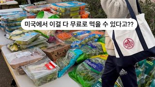 미친 물가 속 생존기: 캘리포니아 현실 브이로그 😱🍳 Bear Pantry 완벽 가이드  대학원생을 위한 무료 식품 혜택 🍞🍇