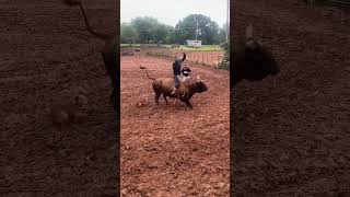 practice pen bull riding