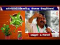 வெள்ளை கரிசலாங்கண்ணிக்கு இணை வேறில்லை dr. sivaraman speech in tamil karisalankanni benefits