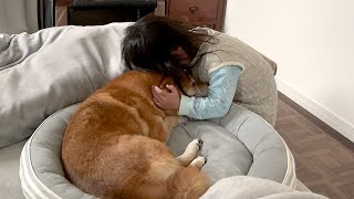 パパが帰らなかった日の柴犬と３歳娘