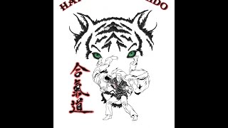 trailer Hapkido Hankido ASCS