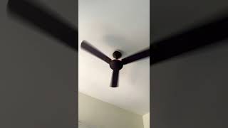 Same fan Havells enticer in room 3