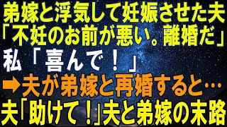 【スカッとする話】弟嫁と浮気して妊娠させた夫「不妊のお前が悪い。離婚だ」私「喜んで！」➡後日、夫が弟嫁と再婚すると…夫「助けて！」夫と弟嫁の末路