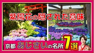 【京都観光】あなたもあじさいの隠された「真の意味」と深い関係が・・楊谷寺/藤森神社/三室戸寺/㊙スポット【完全攻略】