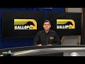 20240124 gallop tv selection show hollywoodbets scottsville race 8