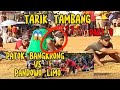 lomba tarik tambang desa paciran, #part9