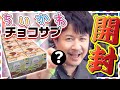 【チョコサプちいかわ】アジルスと開封記念【杉田智和／ＡＧＲＳチャンネル】