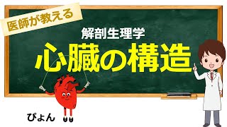 復習として観る方にもこれは必ず役に立ちます！【看護学生向け / 看護師国家試験対応】