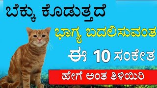 ಬೆಕ್ಕು ತಿಳಿಸಿದ 10 ಶುಭ ಸಂಕೇತಗಳು, ಬೆಕ್ಕಿಗೆ ಸಂಭಂದಿಸಿದ ಶಕುನ-ಅಪಶಕುನ | ಮನೆಗೆ ಕಾಗೆ ಬಂದರೆ ನೀಡುವುದು kaaage...