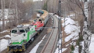 Sänkimäen rapupässi/Diesel pulled timber train/23.4.2022