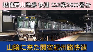 JR西日本 223系2500番台 移動して早一年！京都で活躍する元日根野派出所の関空紀州路快速車両