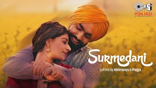 Surmedani - Lofi Mix | Bajre Da Sitta | Ammy Virk | Tania | Jyotica Tangri| Noor Chahal | Avvy Sra