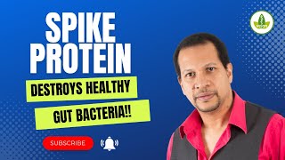 Spike Protein Destroys Healthy Gut Bacteria