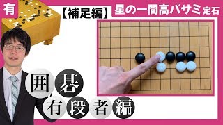 【囲碁有段者向け】 星の一間高バサミ定石 #補足動画 ~プロ棋士 柳澤理志~