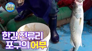 한강 최북단의 어부가 말하는 인생 찬가를 소개합니다 [ 별별사람들 102화 ]