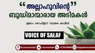 അല്ലാഹുവിന്റെ ബുദ്ധിമാന്മാരായ അടിമകൾ | imam shafi's poem | voice of salaf