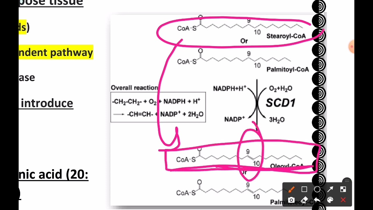 Lecture 12 Part 2 - YouTube