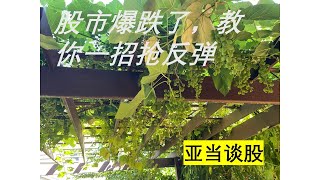 亚当谈股 - 股市爆跌了，教你一招抢反弹