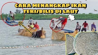 cara menangkap ikan teri/bilis di laut