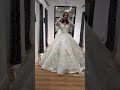 the biggest wedding dress