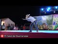Comediante Edson Zuñiga EL NORTEÑO Show Completo - Expo Feria del Gallo 2020